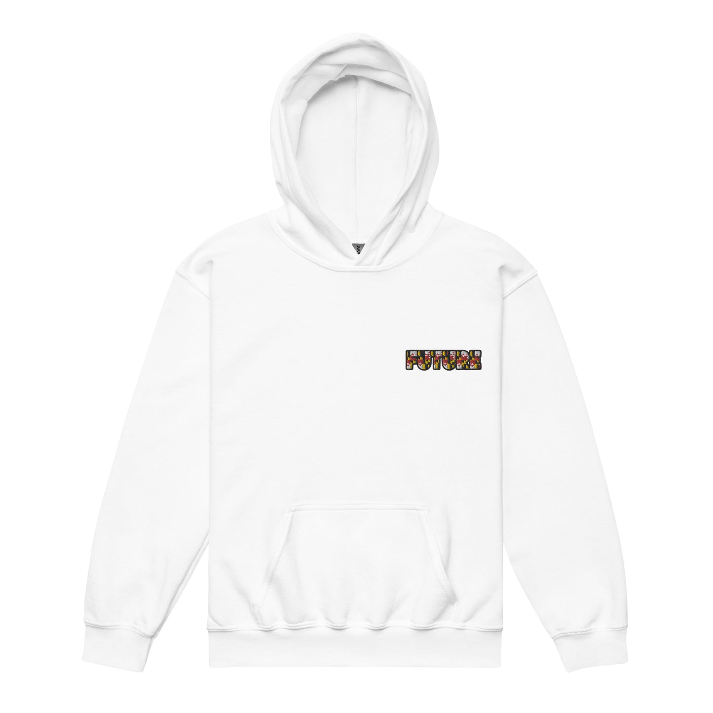 FUTURE EMBROIDERED Youth heavy blend hoodie