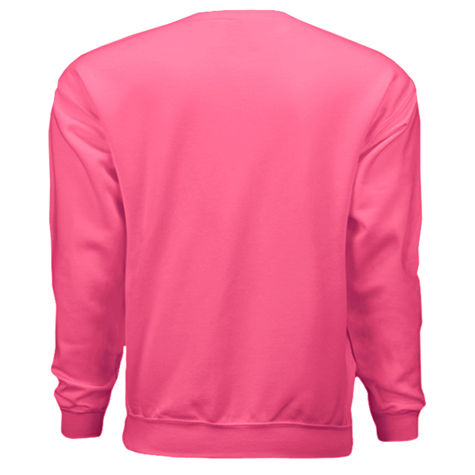 SAFETY PINK - G180 - BACK