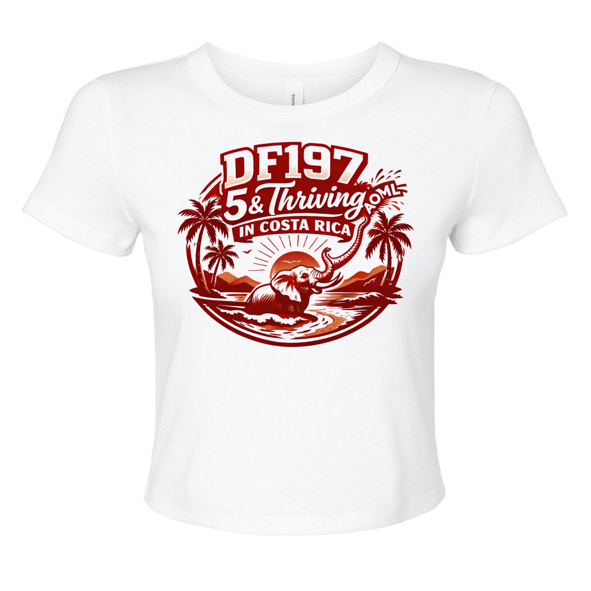 SOLID WHT BLEND - FRONT