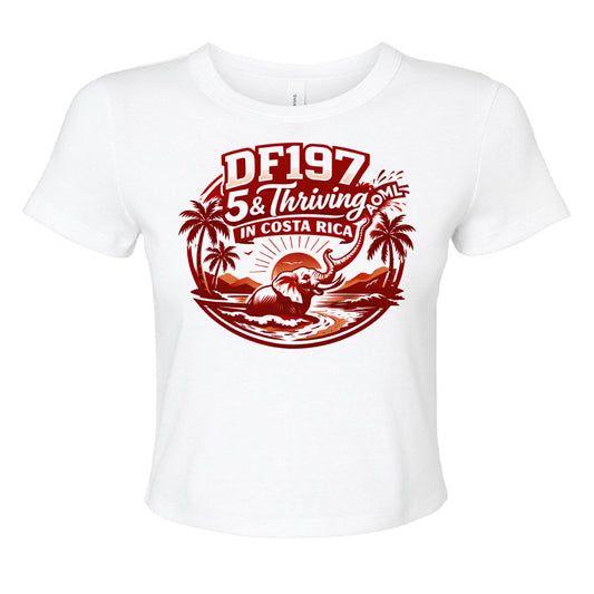 SOLID WHT BLEND - FRONT