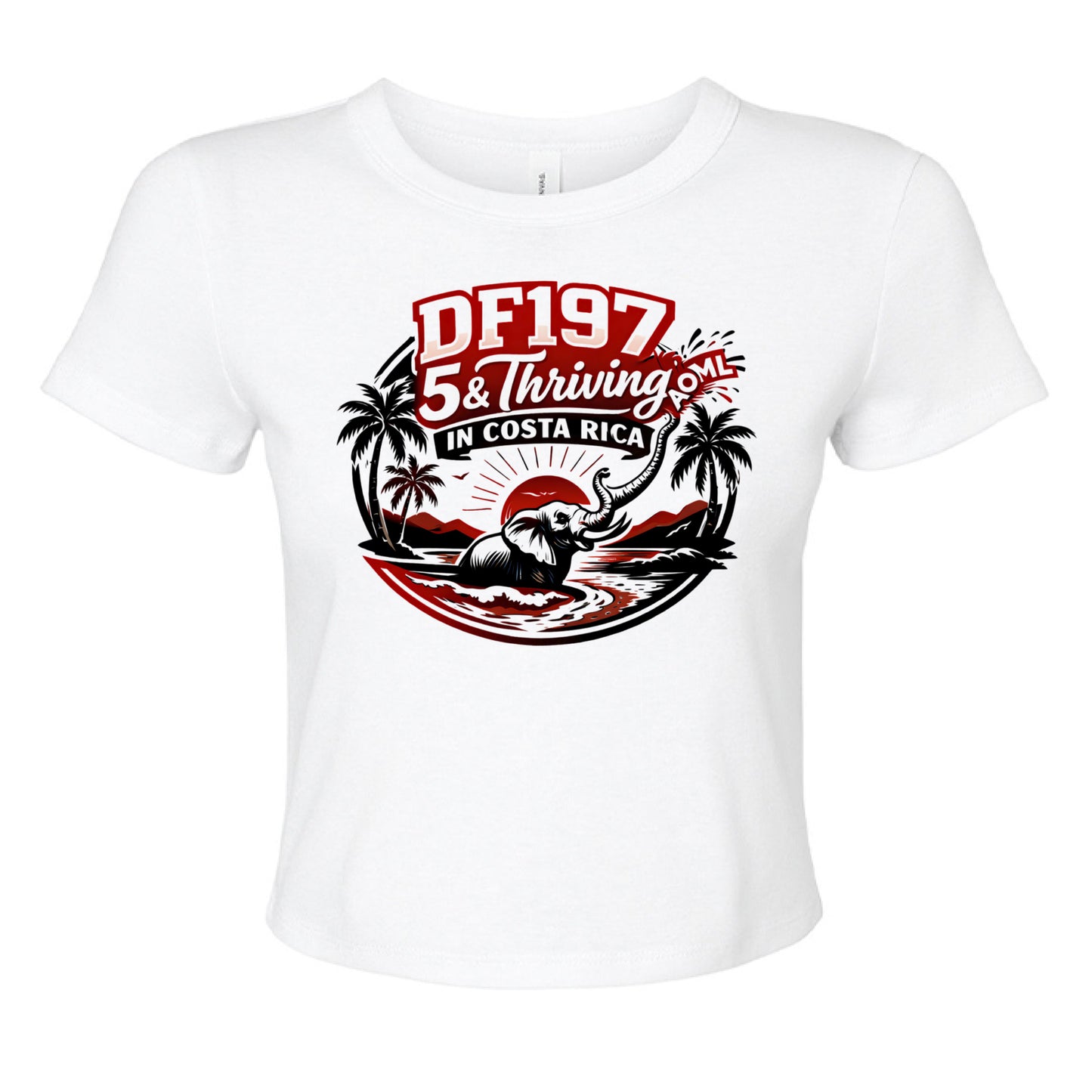 SOLID WHT BLEND - FRONT