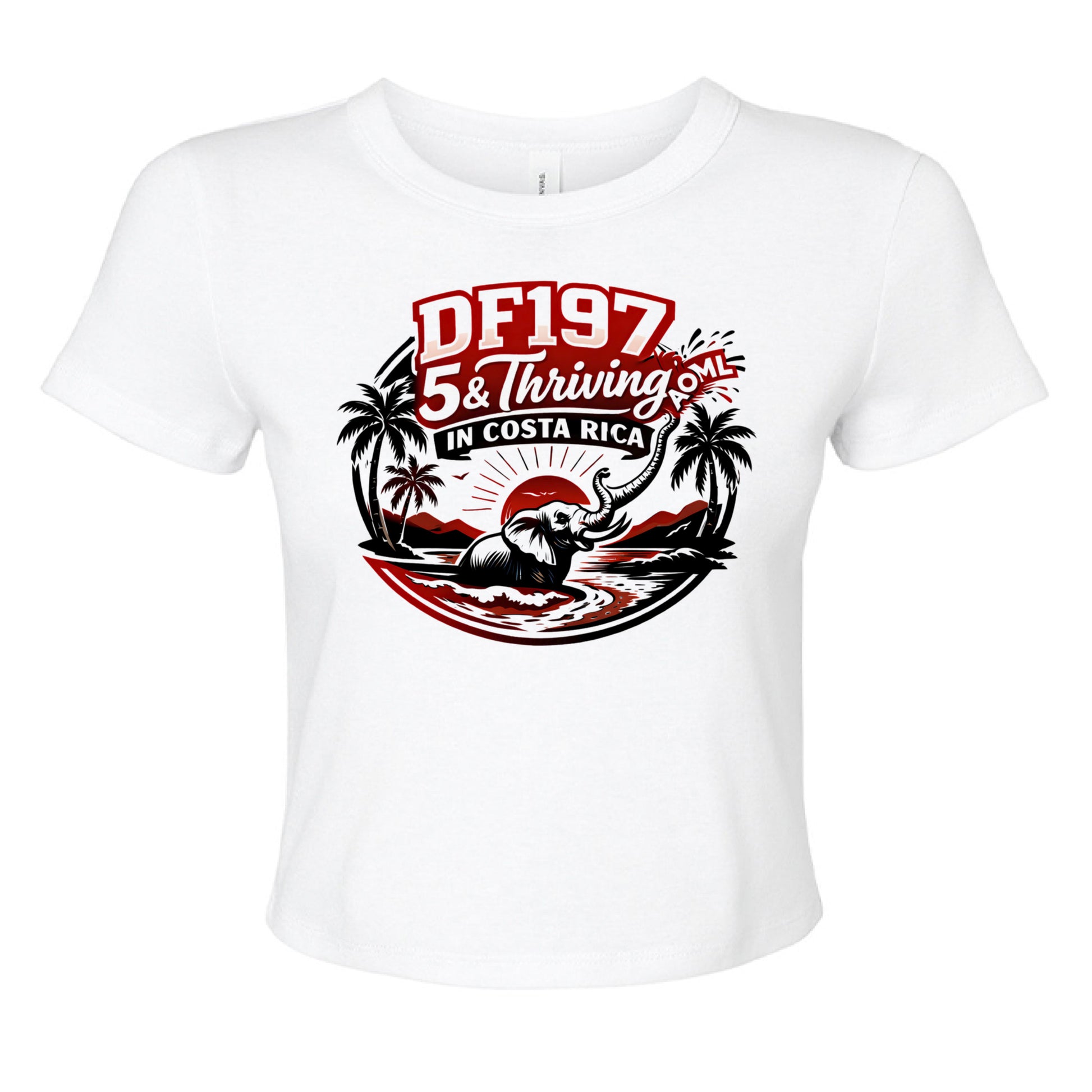 SOLID WHT BLEND - FRONT