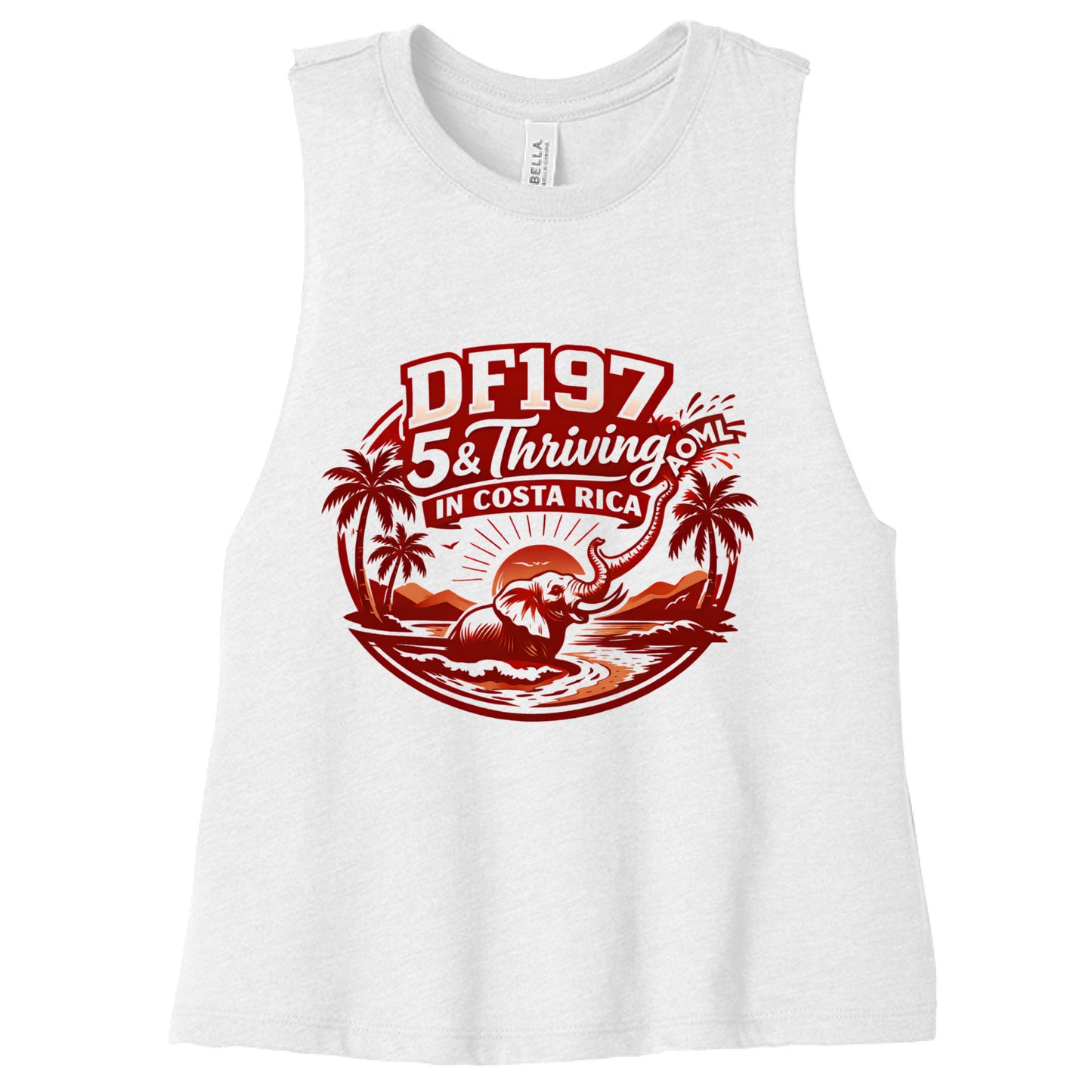 SLD WHT BLEND - FRONT
