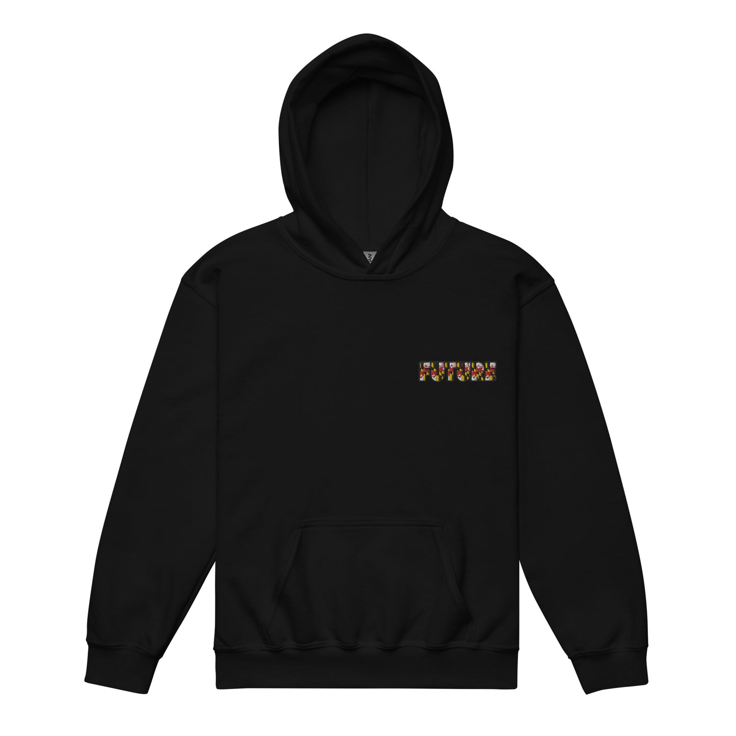 FUTURE EMBROIDERED Youth heavy blend hoodie